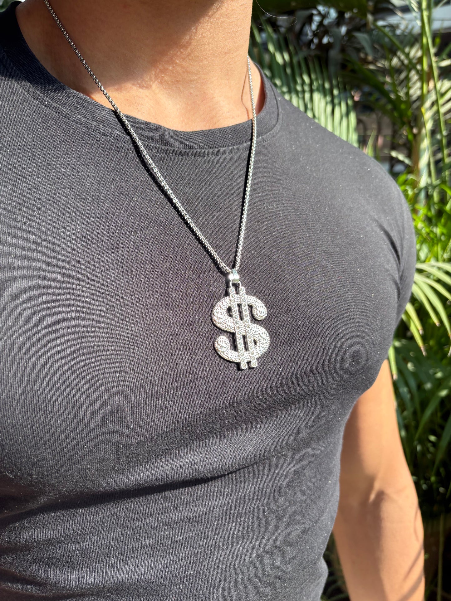 Iced - out Dollar pendant with chain (Limited edition)
