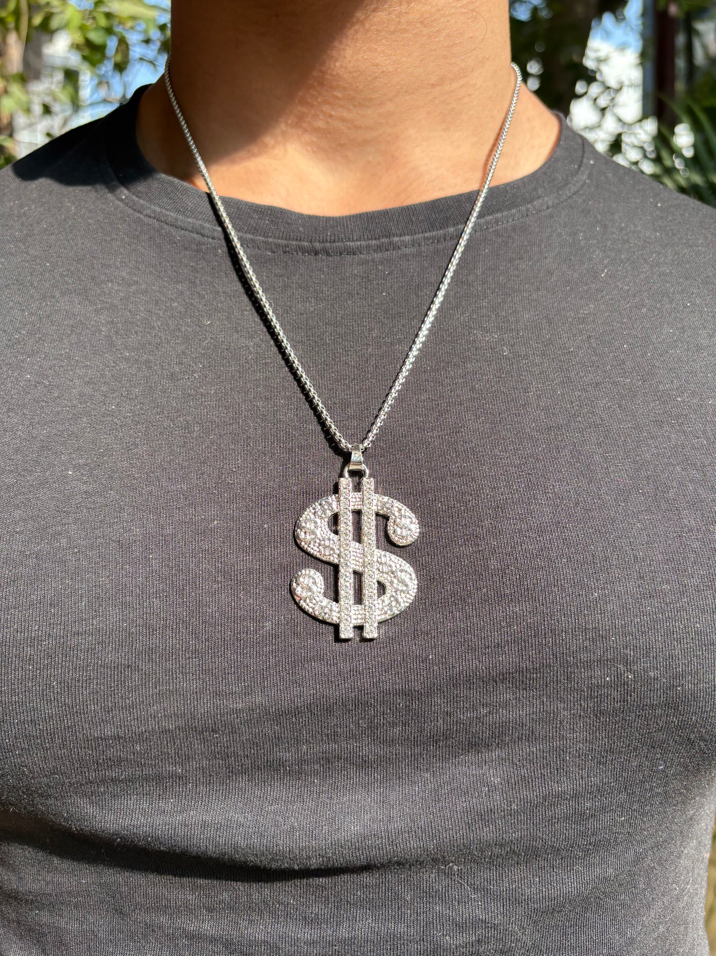 Iced - out Dollar pendant with chain (Limited edition)