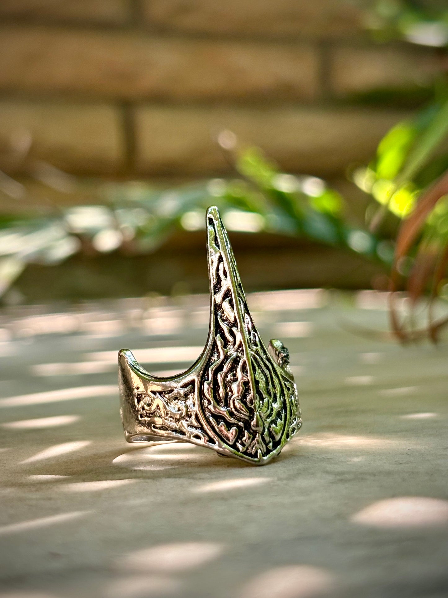 Viking worrier ring (Limited Edition)